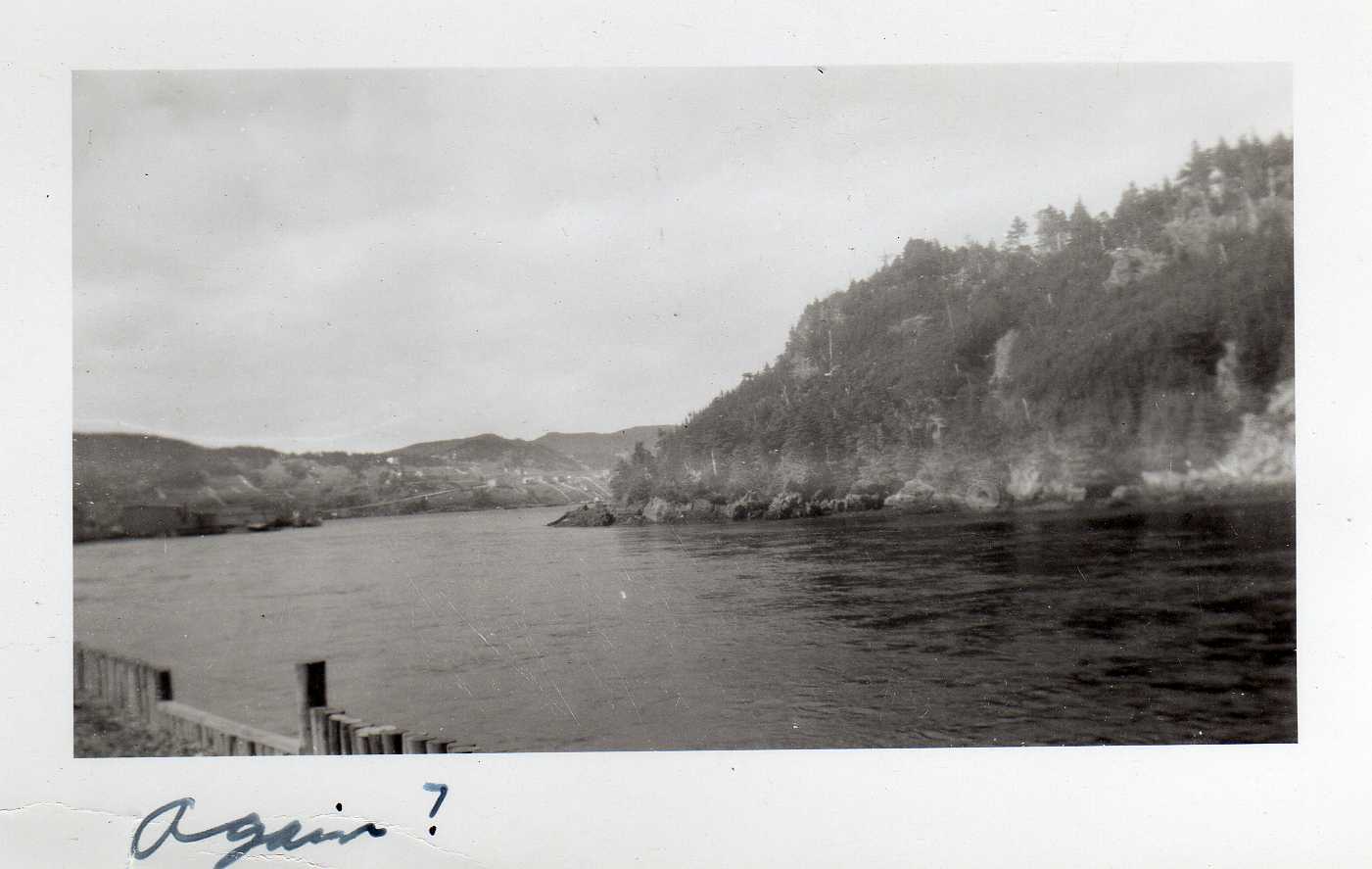 Image 78